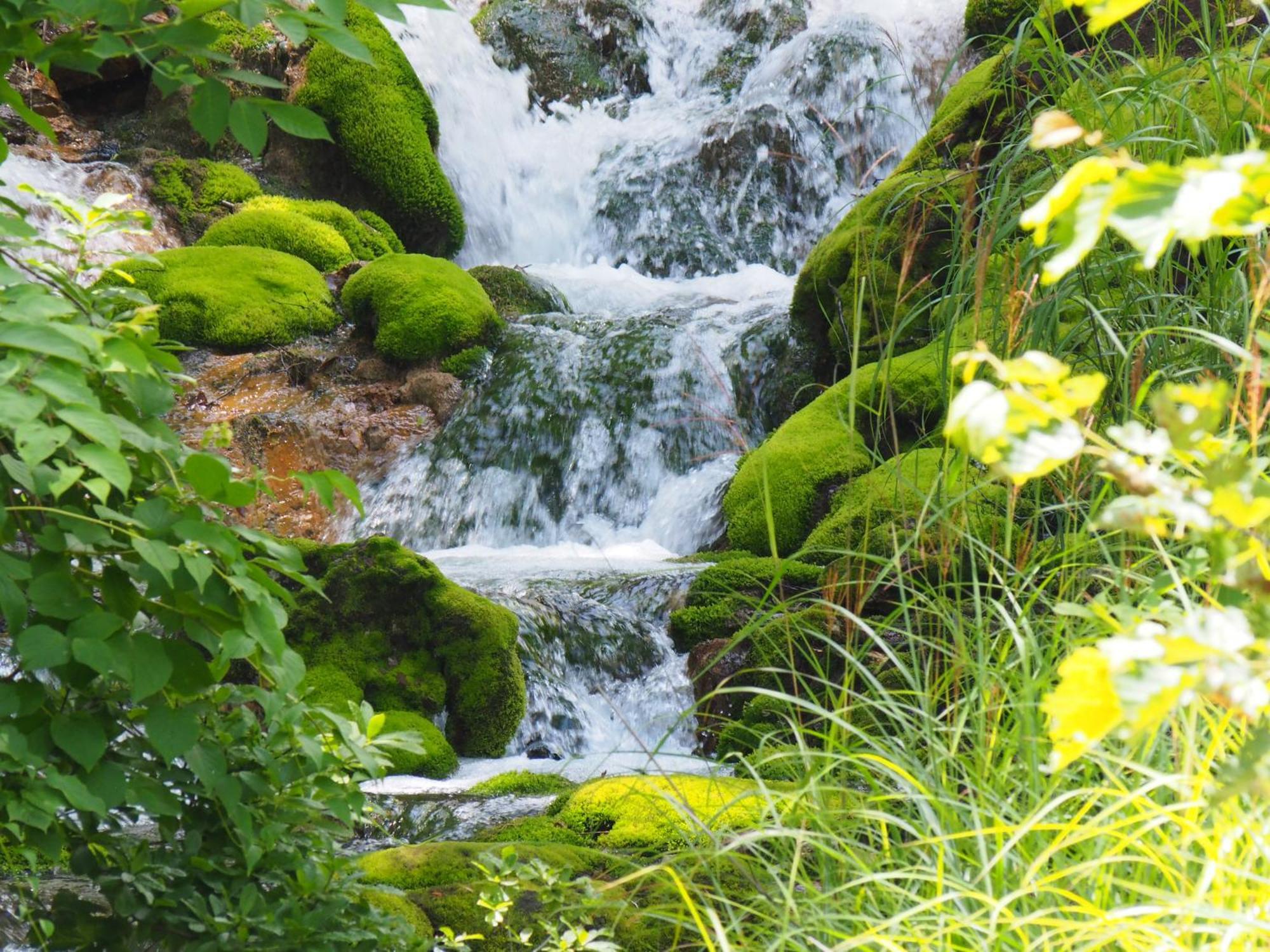 Buna Kusatsu Onsen Inn Esterno foto